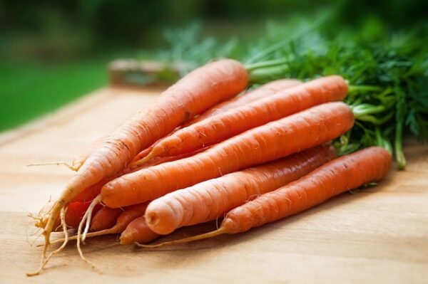 carrots, vegetables, harvest, healthy, nutrition, food, produce, fresh, raw, organic, fresh produce, root crops, carotene, vegetarian, ingredients, carrots, carrots, carrots, carrots, carrots